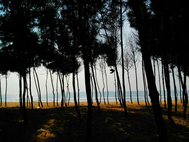 Beach near Puri